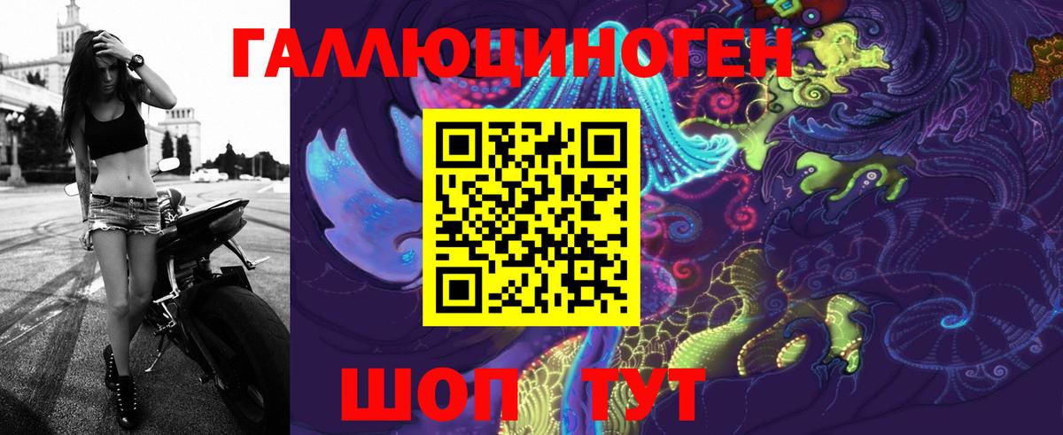 Галлюциногенные грибы мухоморы Новозыбков